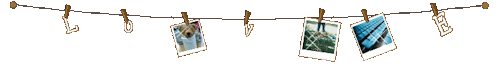 52294aa5.gif?v=290d15cc